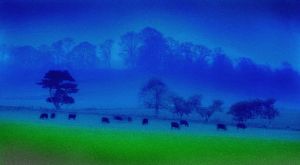 Blue Pastures